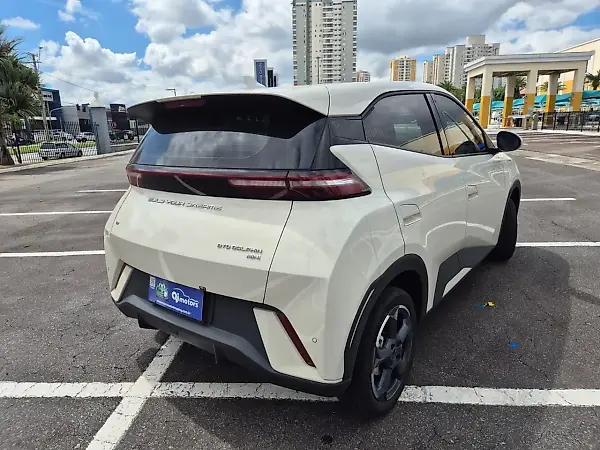 BYD Dolphin Mini - Imagem 15