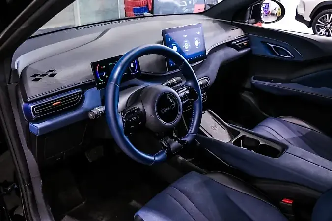 BYD Dolphin Mini - Imagem 13