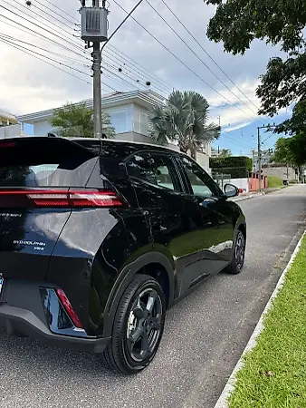 BYD Dolphin Mini - Imagem 3