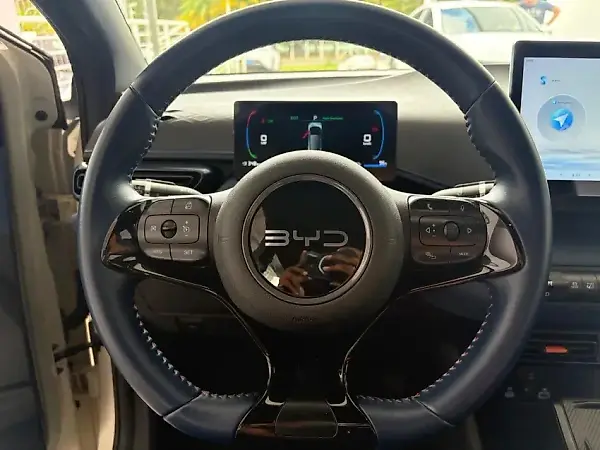 BYD Dolphin Mini - Imagem 13
