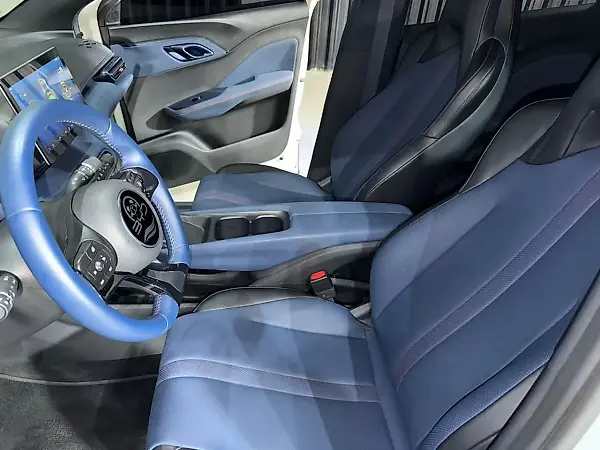 BYD Dolphin Mini - Imagem 8