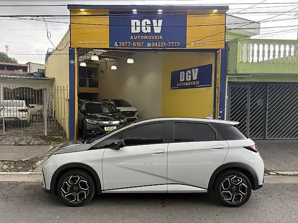 BYD Dolphin Plus - Imagem 20