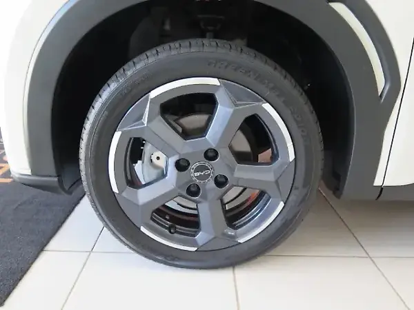 BYD Dolphin Mini - Imagem 18