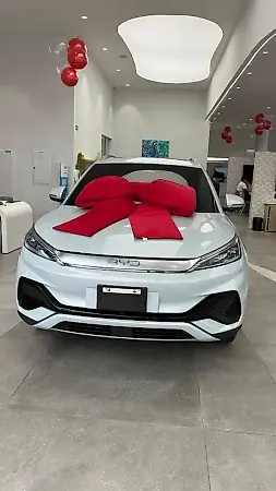 BYD Yuan Plus - Imagem 1