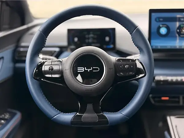 BYD Dolphin - Imagem 10
