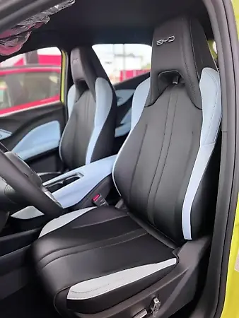 BYD Dolphin Mini - Imagem 10