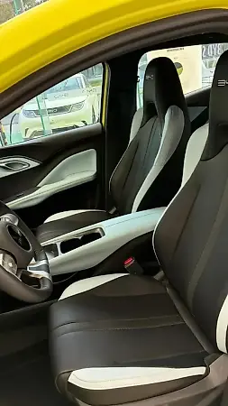 BYD Dolphin Mini - Imagem 7