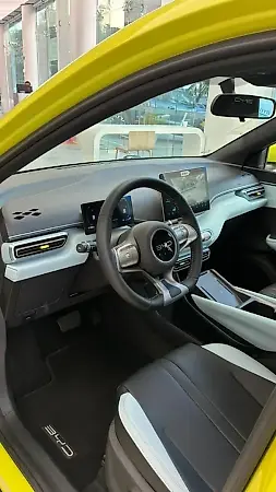 BYD Dolphin Mini - Imagem 8