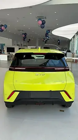 BYD Dolphin Mini - Imagem 14