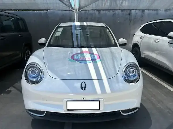 GWM Ora 03 - Imagem 2