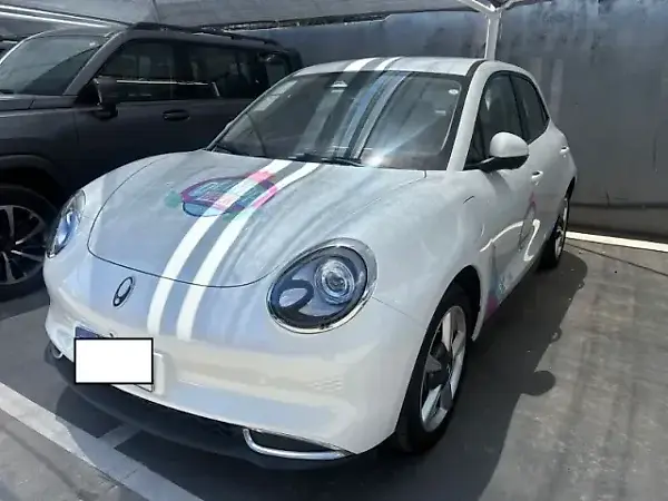 GWM Ora 03 - Imagem 4