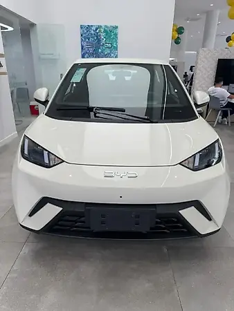 BYD Dolphin Mini - Imagem 3