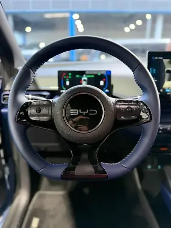 BYD Dolphin Mini - Imagem 3
