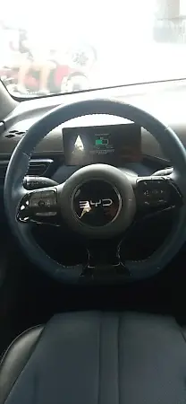BYD Dolphin Mini - Imagem 10