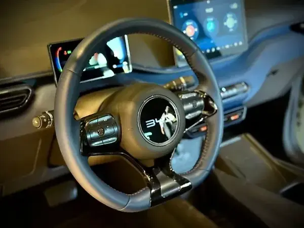 BYD Dolphin Mini - Imagem 12