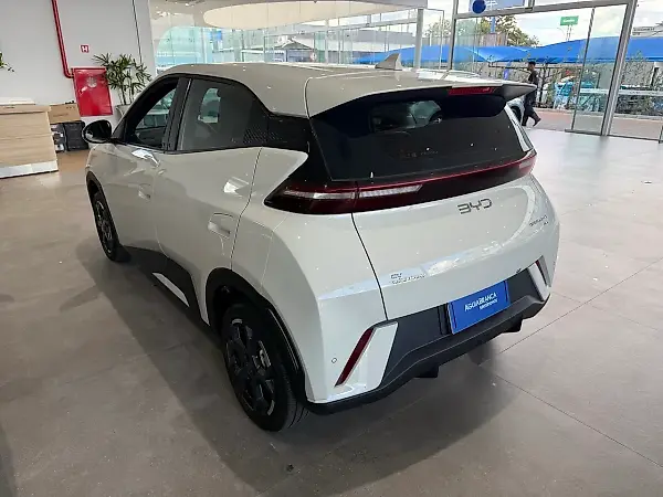 BYD Dolphin Mini - Imagem 6