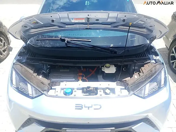 BYD Dolphin Mini - Imagem 8