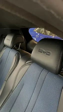 BYD Dolphin Mini - Imagem 13