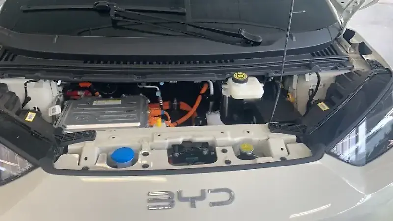 BYD Dolphin Mini - Imagem 11