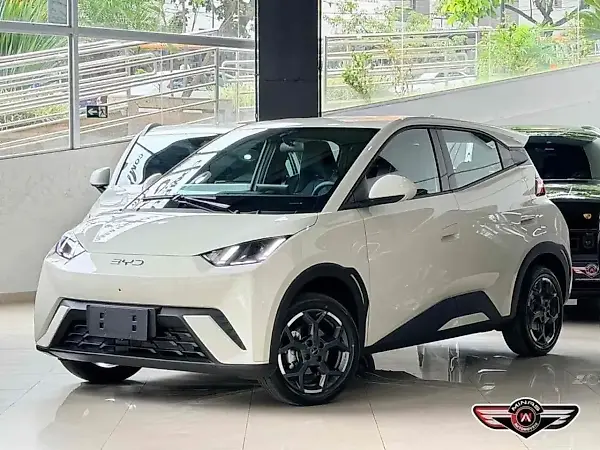 BYD Dolphin Mini - Imagem 1