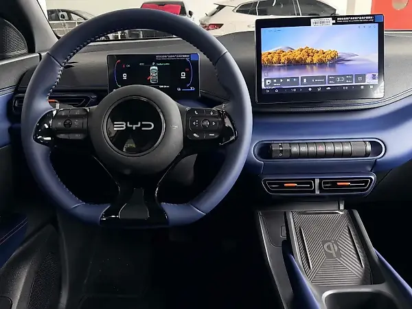 BYD Dolphin Mini - Imagem 9