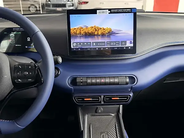 BYD Dolphin Mini - Imagem 13