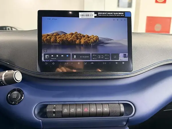 BYD Dolphin Mini - Imagem 14