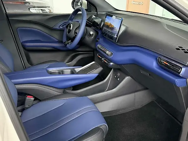 BYD Dolphin Mini - Imagem 18