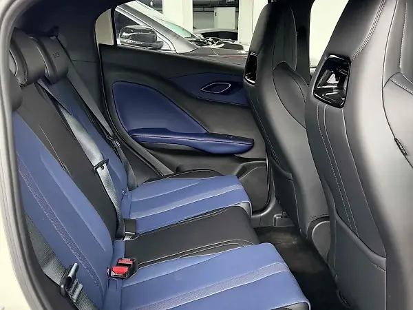 BYD Dolphin Mini - Imagem 20