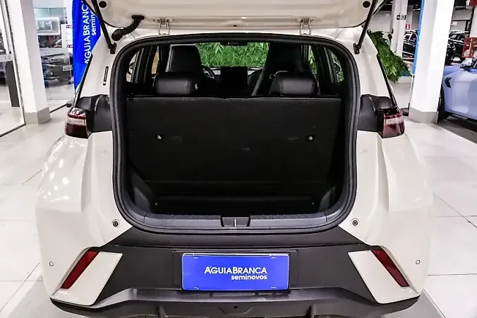 BYD Dolphin Mini - Imagem 11