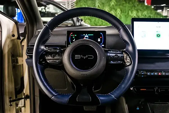 BYD Dolphin Mini - Imagem 15
