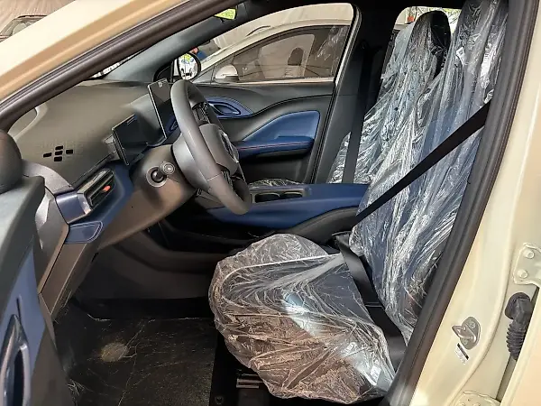 BYD Dolphin Mini - Imagem 2