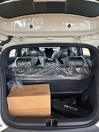 BYD Dolphin Mini - Imagem 9