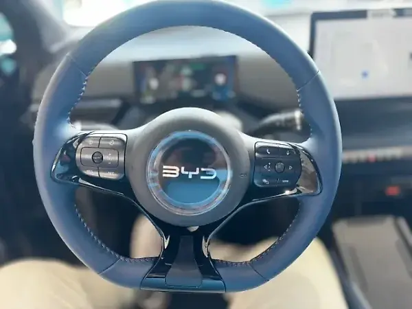 BYD Dolphin Mini - Imagem 3