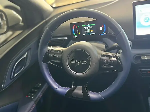 BYD Dolphin Mini - Imagem 10