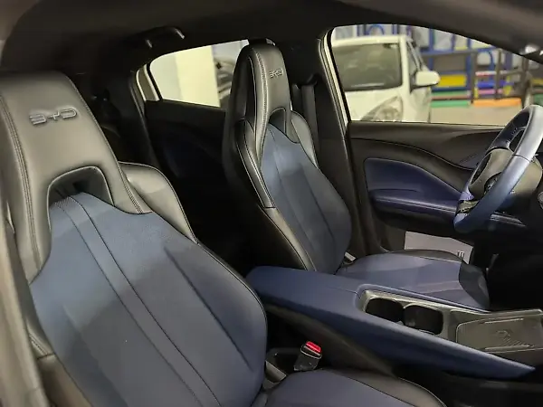 BYD Dolphin Mini - Imagem 14