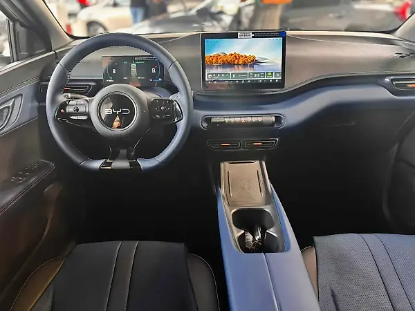 BYD Dolphin Mini - Imagem 12