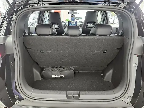 BYD Dolphin Mini - Imagem 8