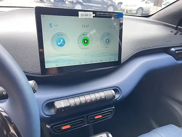 BYD Dolphin Mini - Imagem 14