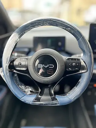 BYD Dolphin Mini - Imagem 10