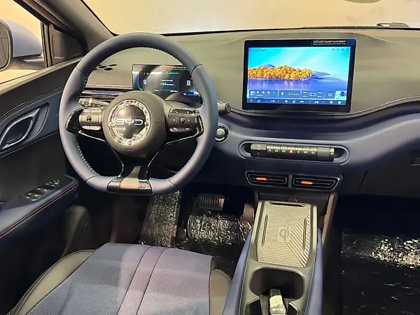 BYD Dolphin Mini - Imagem 8