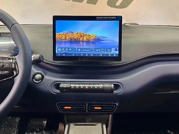 BYD Dolphin Mini - Imagem 10