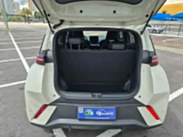 BYD Dolphin Mini - Imagem 9