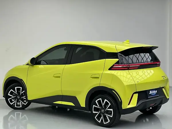 BYD Dolphin Mini - Imagem 19