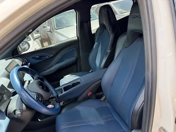 BYD Dolphin Mini - Imagem 9