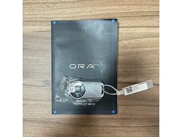 GWM Ora 03 - Imagem 12