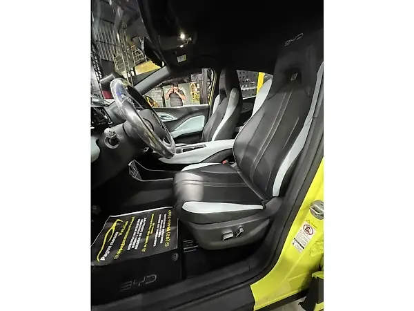 BYD Dolphin Mini - Imagem 9