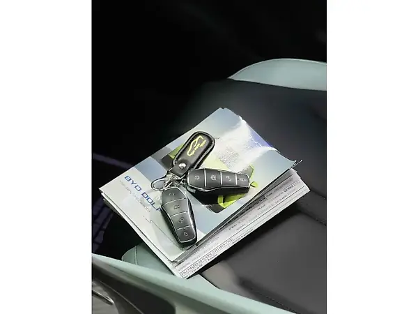 BYD Dolphin Mini - Imagem 10
