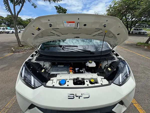 BYD Dolphin Mini - Imagem 16
