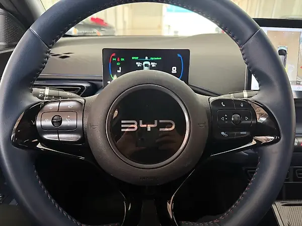 BYD Dolphin Mini - Imagem 9